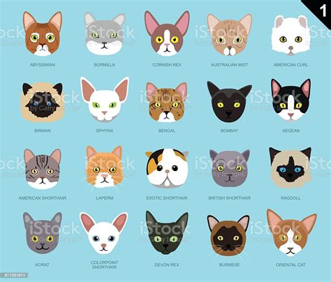 You have come to the right place! Cat Faces Icon Cartoon 1 Stock Illustration - Download Image Now - iStock