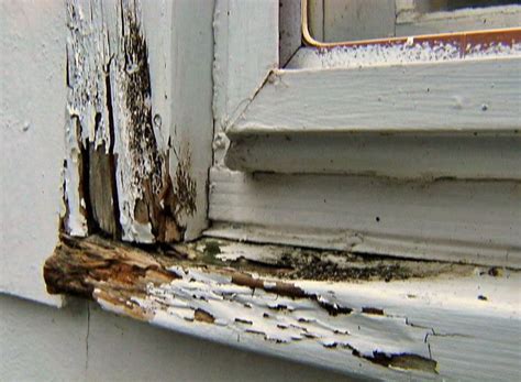 How To Repair Dry Rot In A Window Sill Diy Home Repair Wood Repair