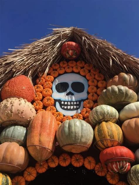 24 Fun Pumpkin Patches In Los Angeles