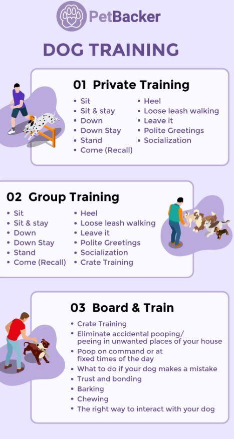 What Are The Different Types Of Dog Training