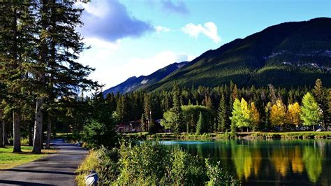 Landscape View Of Green Trees Forest Mountains Background Reflection On