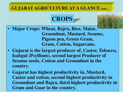 Ppt Gujarat Agriculture An Overview Powerpoint Presentation Id663726