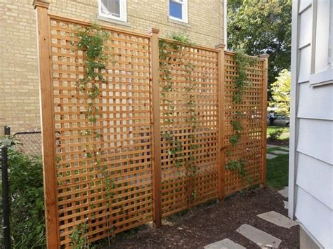70 Inspiring Simple Backyard Privacy Fence Ideas Budget Diy Lattice