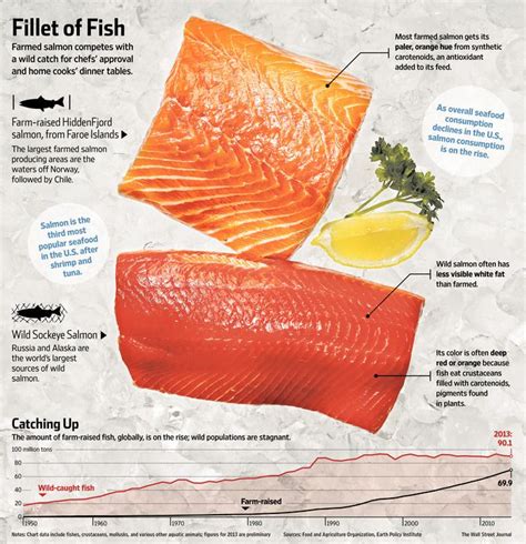 Top Chefs Grocers Choose Farmed Salmon Salmon Farming Salmon Wild