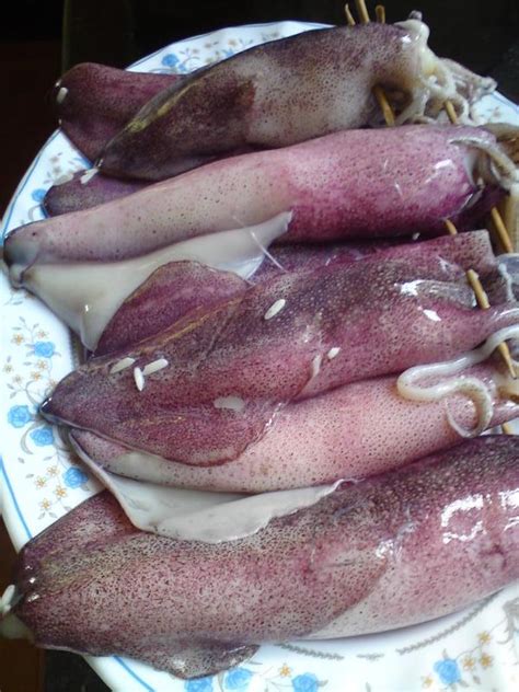 Ketupat palas kelantan agak berlainan dengan ketupat dari negeri lain. Cara Buat Ketupat Sotong Kelantan Mudah Dan Paling sedap ...