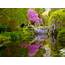 The Worlds Most Romantic Garden Ninfa  GRAND VOYAGE ITALY