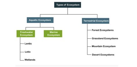 Types Of Ecosystem Geeksforgeeks