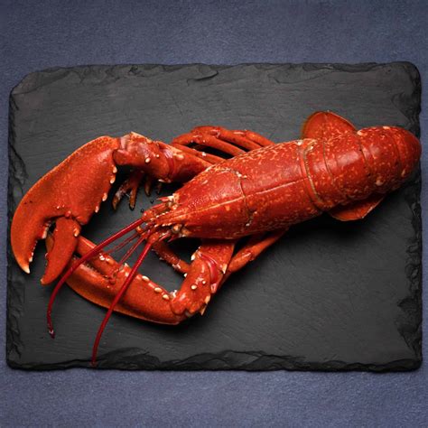 cooked scottish lobsters buy online home delivery