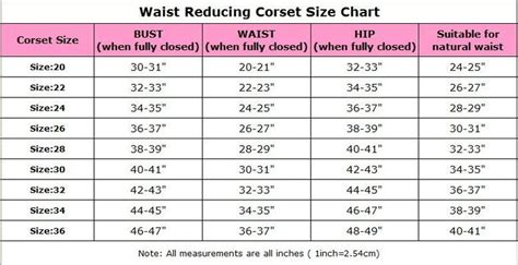 When it comes to ideal waist size measurements, all people aim to keep their waist measurement less than half with respect to their height, experts say! Pinterest • The world's catalog of ideas