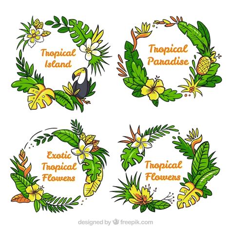 Free Vector Pack Of Hand Drawn Wreaths