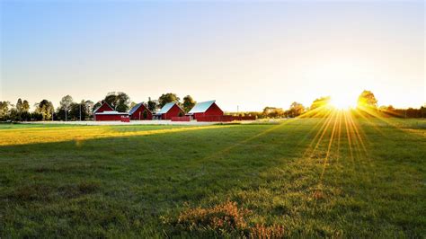 Agriculture Barn Countryside Meadow Sunrise Sunshine Preview