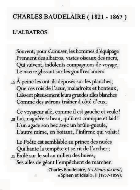 Charles Baudelaire Poeme Et Citation Écrivains Et Poètes Poesie