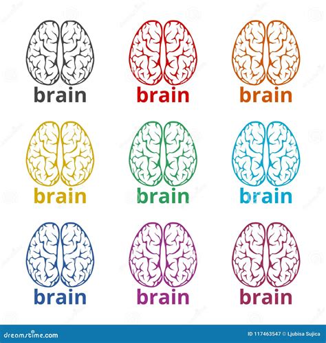 Human Brain Concept Brain Logo Color Icons Set Stock Vector