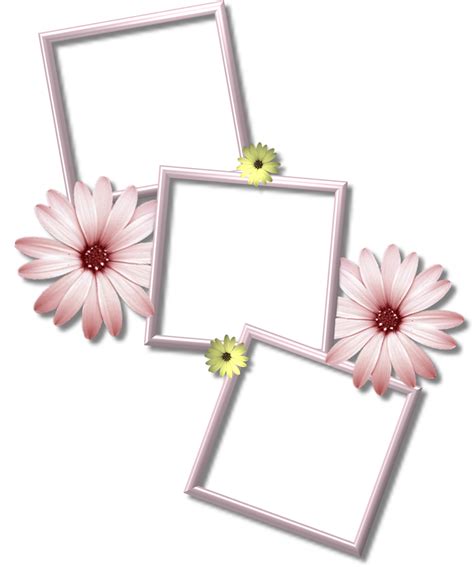 Check spelling or type a new query. Collage Frame PNG Transparent Images | PNG All
