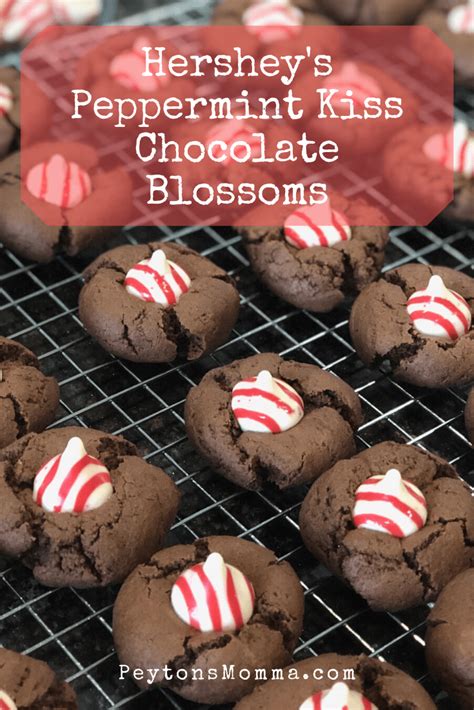 Hersheys Peppermint Kiss Chocolate Blossoms Peytons Momma Recipe