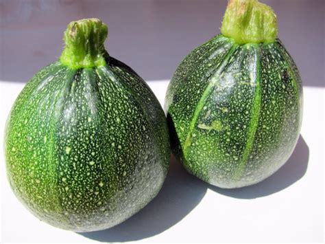 Great as a mini vegetable harvested the size of a golf ball, nice for stuffing when it's the size of a softball. French in a Flash: Little Stuffed Zucchinis | French ...
