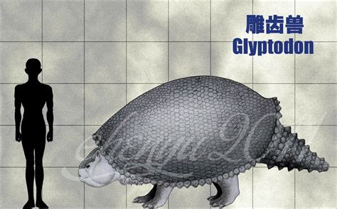 Glyptodon Prehistoric Animals Prehistoric Creatures Extinct Animals