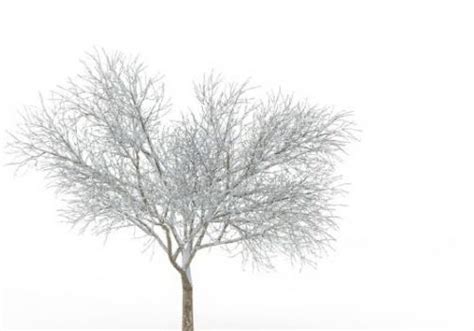 Winter Tree In Snow 3d Model Max 123free3dmodels