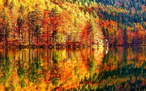 Hd Wallpaper Autumn Images For Backgrounds Desktop Tree Lake