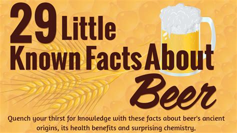 29 Unusual Fun Facts About Beer Infographic