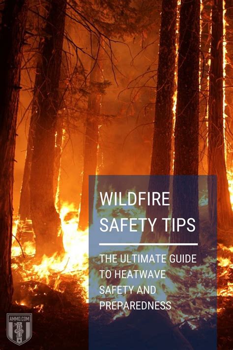 Wildfire Safety Tips The Ultimate Guide To Heatwave Safety And