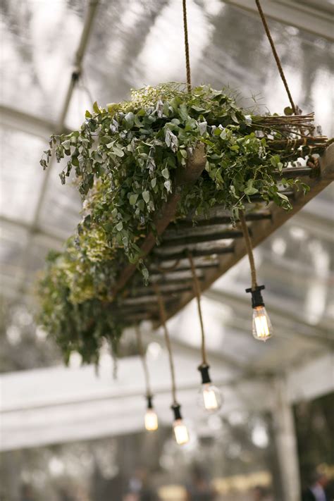 Simple hanging planter project idea. Modern hanging installation with an abundance of foliage ...