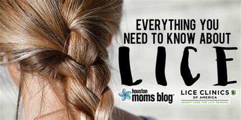 Everything You Need to Know About ... LICE! | Houston Moms ...