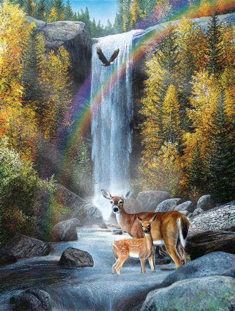 Rainbow Setting By Kevin Daniel Deer Doe And Fawn Bald Eagle In Flight