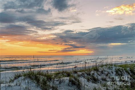 Miramar Sunset And Sea Oats Photograph By Chris Farr Fine Art America