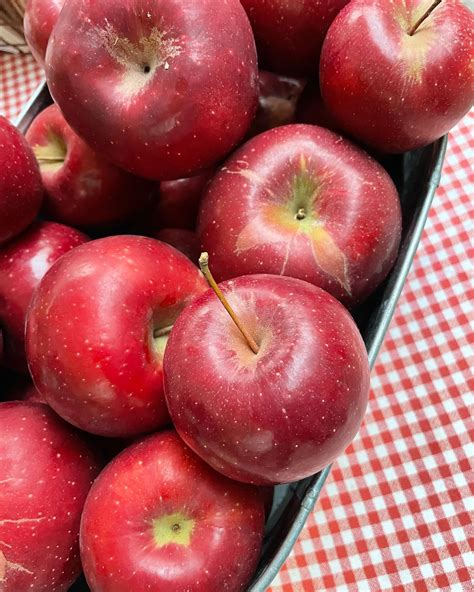 11 Best Apple Orchards in Western North Carolina - Blue Ridge Mountain Life