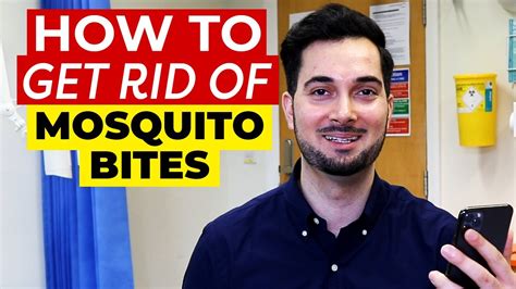 Mosquito Bites How To Get Rid Of Mosquito Bites Online Web Gyan