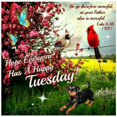 Everyone wants happiness, no one wants pain, but you can't make a rainbow without a little rain. Hope Everyone Has A Happy Tuesday Pictures, Photos, and ...