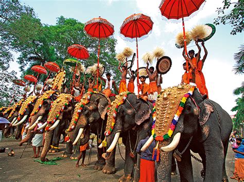 Free evaluation and pricing with prior appointments. What it means to cancel Thrissur Pooram? - Kerala Insider