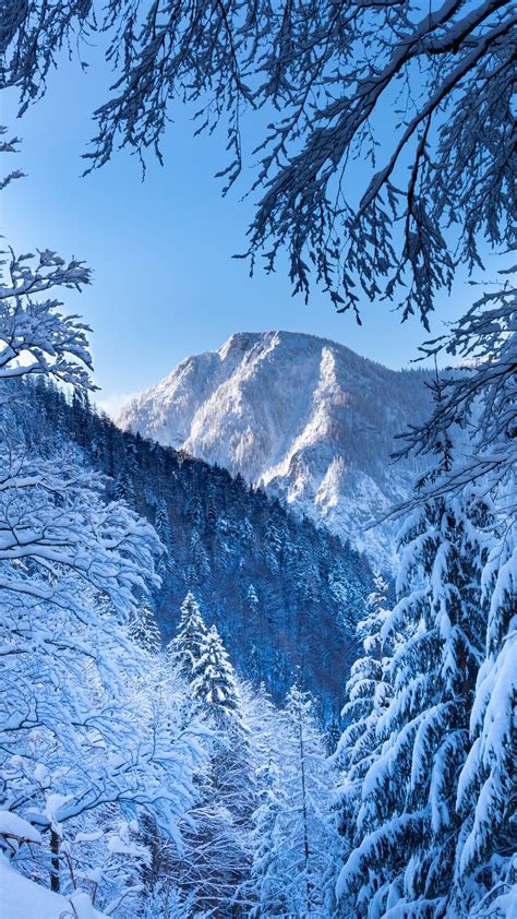 1080x1920 Snow Alps Austria 5k Iphone 76s6 Plus Pixel Xl One Plus 3