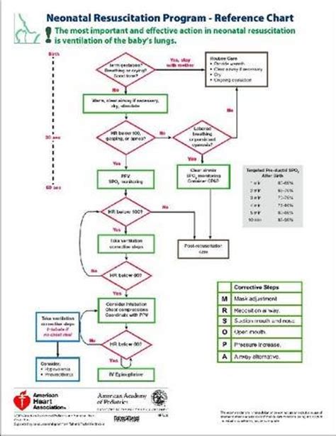 Neonatal Resuscitation Program Reference Chart Pocket Card Single