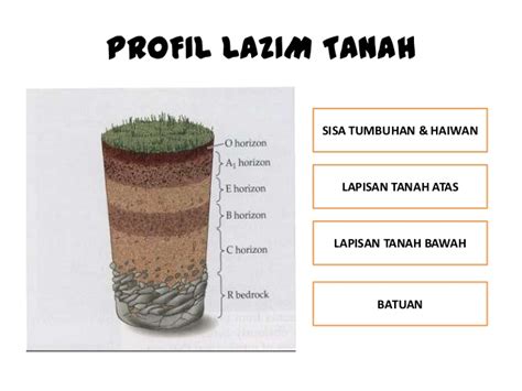 19 jenis tanah, ciri ciri, persebaran, cara merawat, beserta gambar dan penjelasan. JENIS-JENIS TANAH PERTANIAN - MyAgri.com.myMyAgri.com.my