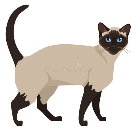 Siamese Cat In Flat Design Style Cute Cartoon Character With Blue Eyes