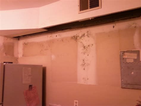 Hanging cabinets on drywall no studs. Mold Behind Cabinets, No Drywall Above - Building ...