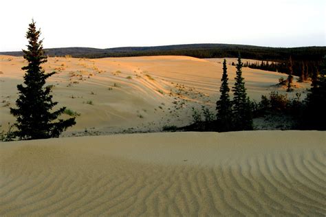 Alaska Sand Dunes Realest Nature