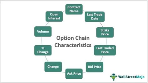Option Chain What Is It Trading Strategy Examples