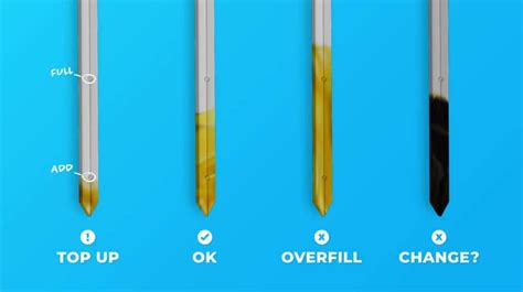 What Color Should Oil Be On Dipstick Oil Filters Online