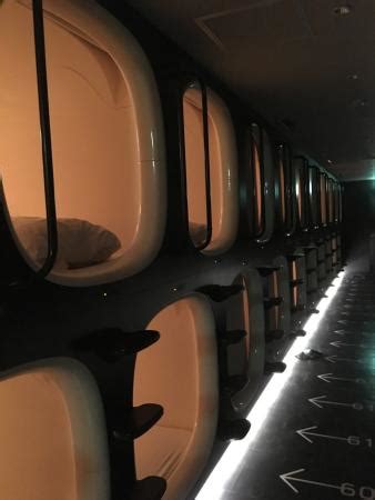 I was considering capsule hotel when i was doing research about accommodation in kyoto. Nine Hours Kyoto - Picture of 9 Hours Capsule Hotel Kyoto, Kyoto - TripAdvisor