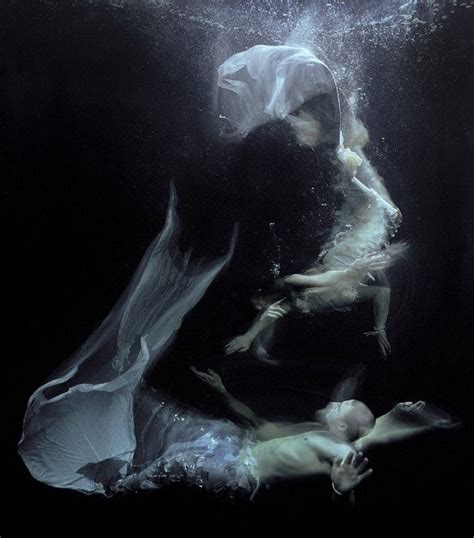 Fascinating Underwater Photography By Zena Holloway Photography Office