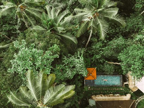 The Best Villas in Ubud With Private Pool - Breathing Travel