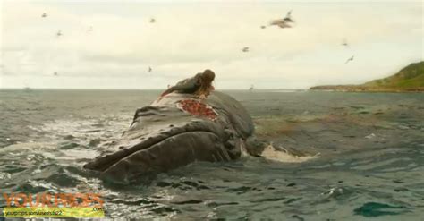 Local expert jooke robbins, of the center for coastal studies in provincetown, told the paper the creatures are not. The Shallows Humpback Whale Eye original movie prop