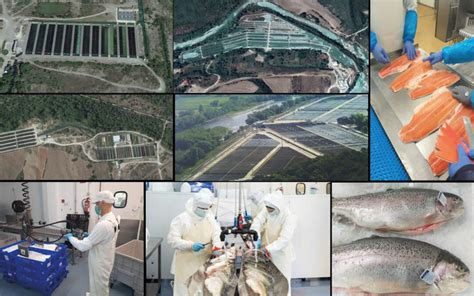Understanding The Adding Value Of Freshwater Aquaculture By Products