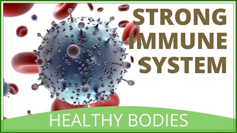 How To Increase White Blood Cells How To Increase Immune System Youtube