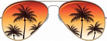 Aviator Sunglasses Glasses Pilot Sun Illustrations Miami