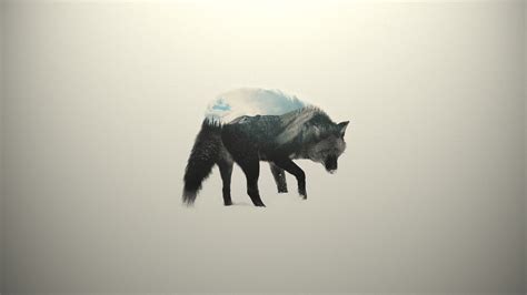 Wolf Minimalist Wallpapers Wallpaper Cave