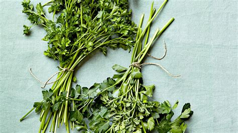 What Is Parsley Heres How To Buy Use And Store This Popular Herb